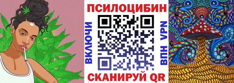 наркотики  Бирюсинск  Галлюциногенные грибы Psilocybine cubensis 